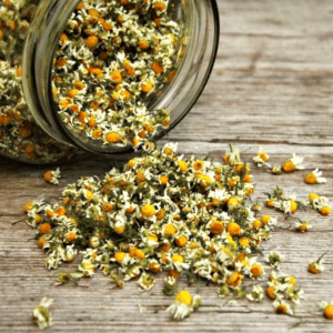 Dried chamomile flowers spilling from jar.